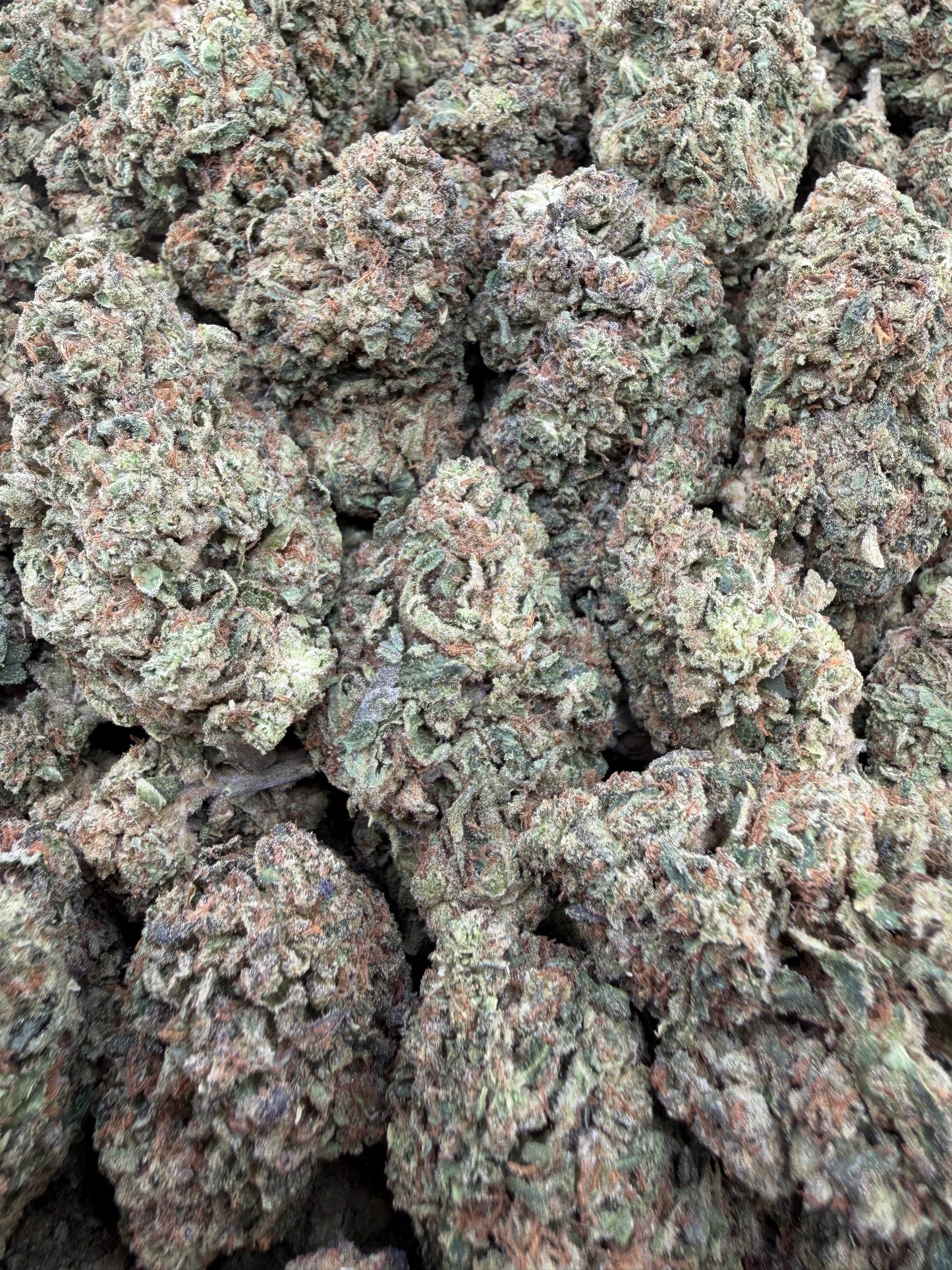 THC-A FLOWER BLACK WIDOW - HYBRID (LIGHT DEP)