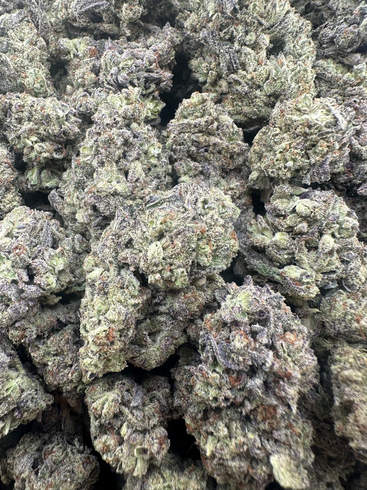 THC-A FLOWER COOKIE MONSTER - HYBRID (LIGHT DEP)