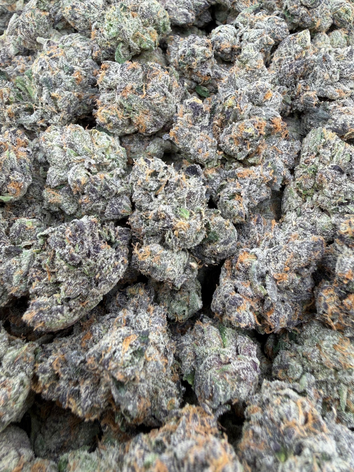 THC-A FLOWER GELATTI - INDICA (INDOOR)