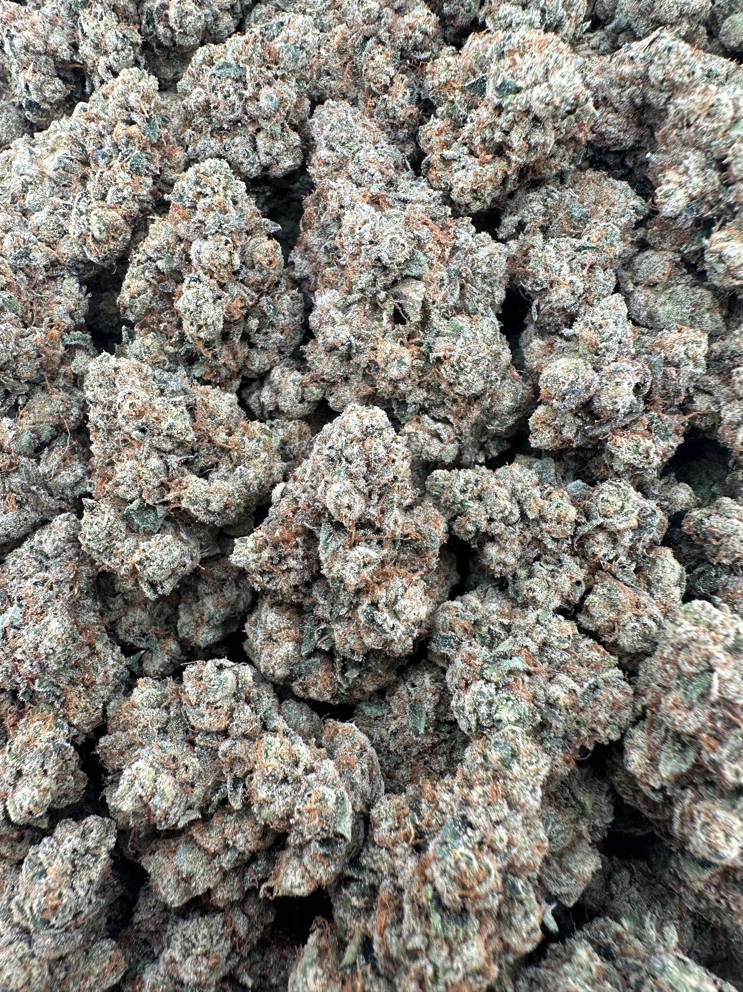 THC-A FLOWER SKYWALKER OG - INDICA (INDOOR)