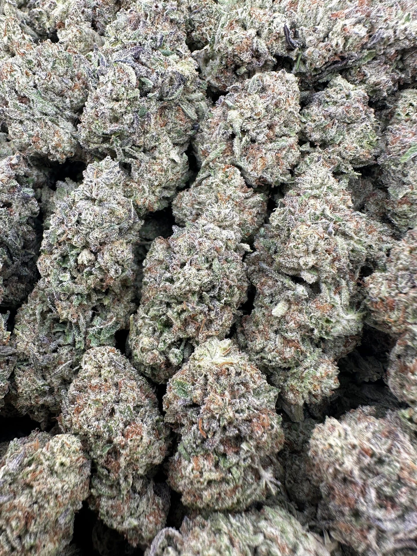 THC-A FLOWER TRUFFLEZ - HYBRID (LIGHT DEP)