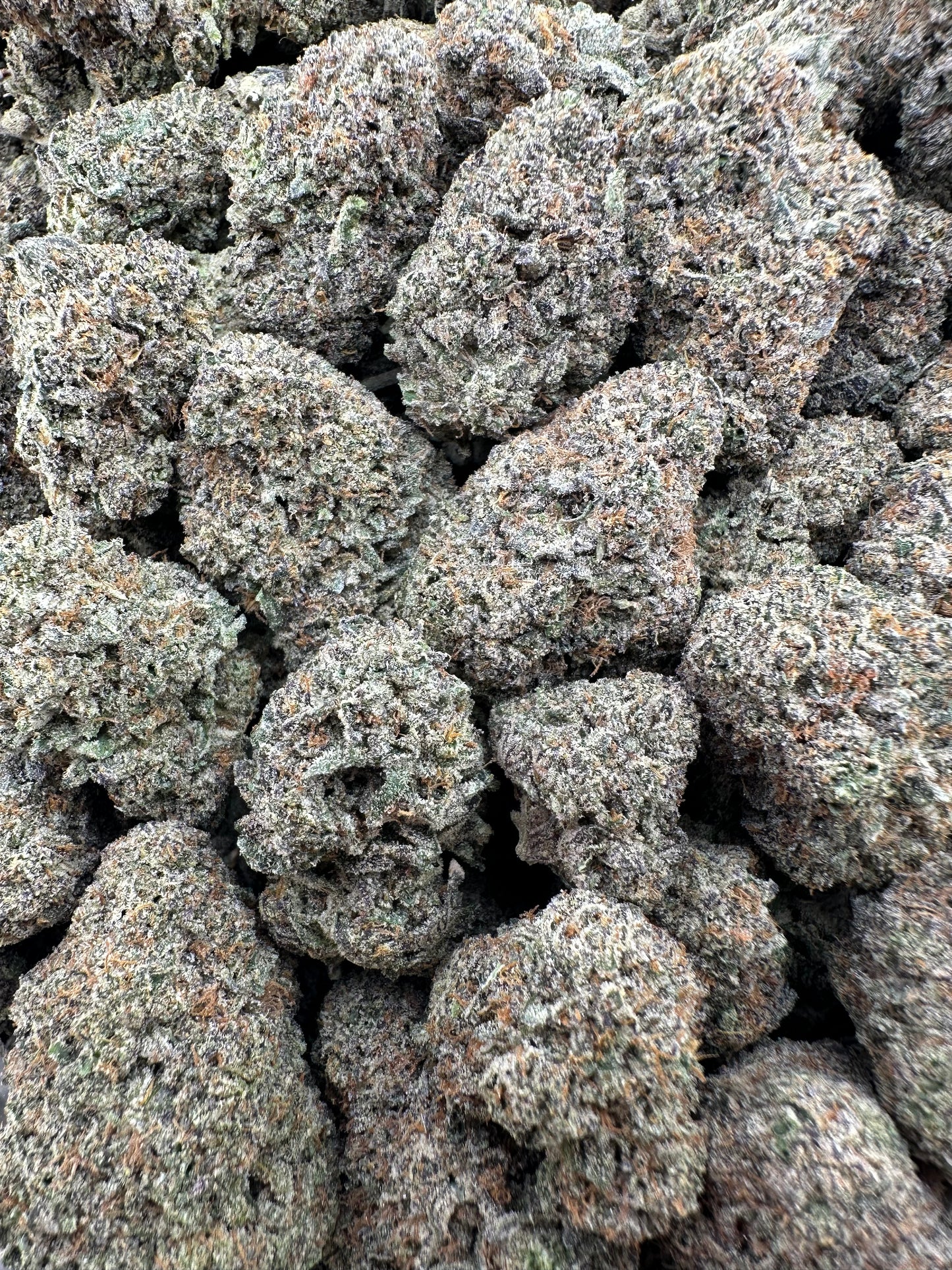 THC-A FLOWER LONDON POUND CAKE - HYBRID (INDOOR)