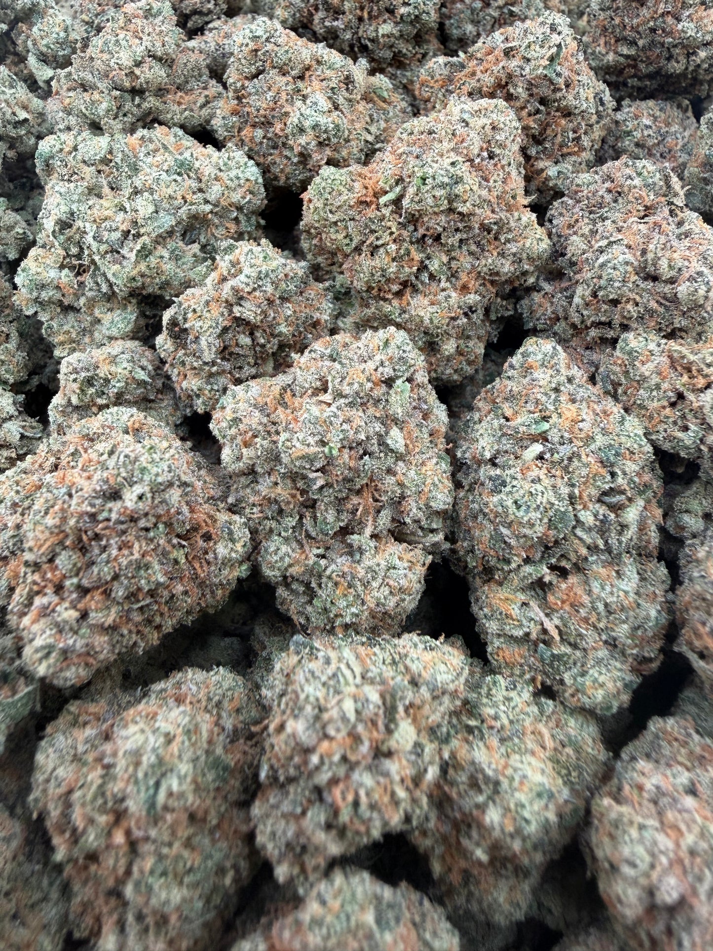 THC-A FLOWER APPLE FRITTER - HYBRID (INDOOR)