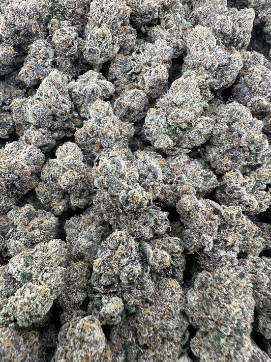 THC-A FLOWER BLACK GELATO - HYBRID (INDOOR)