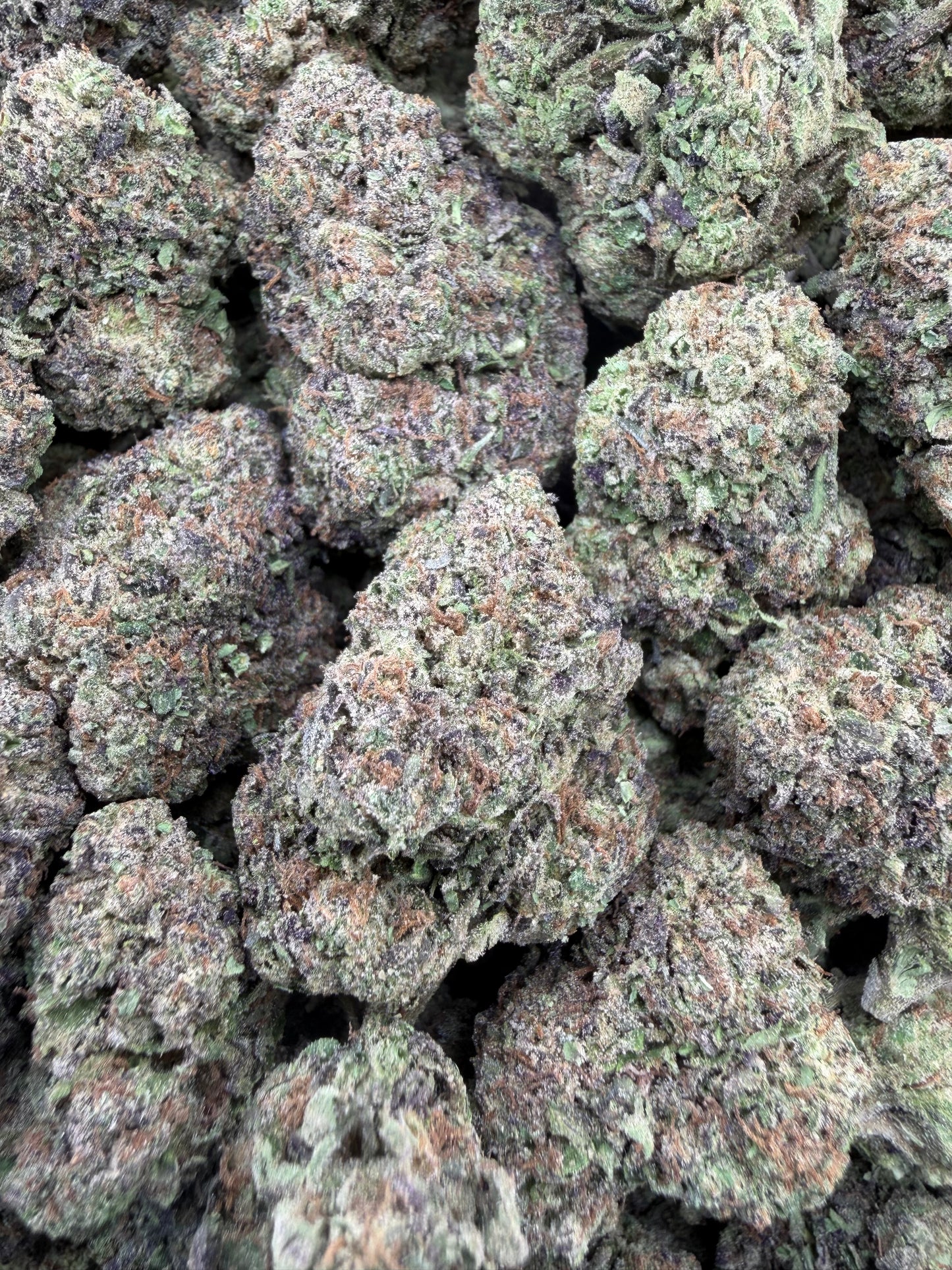 THC-A FLOWER WHITE GUSHERZ - SATIVA (LIGHT DEP)