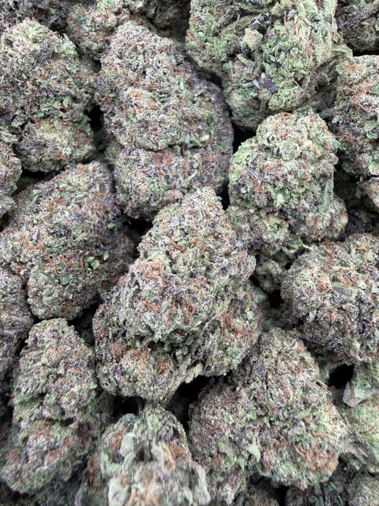 THC-A FLOWER WHITE GUSHERZ - SATIVA (LIGHT DEP)