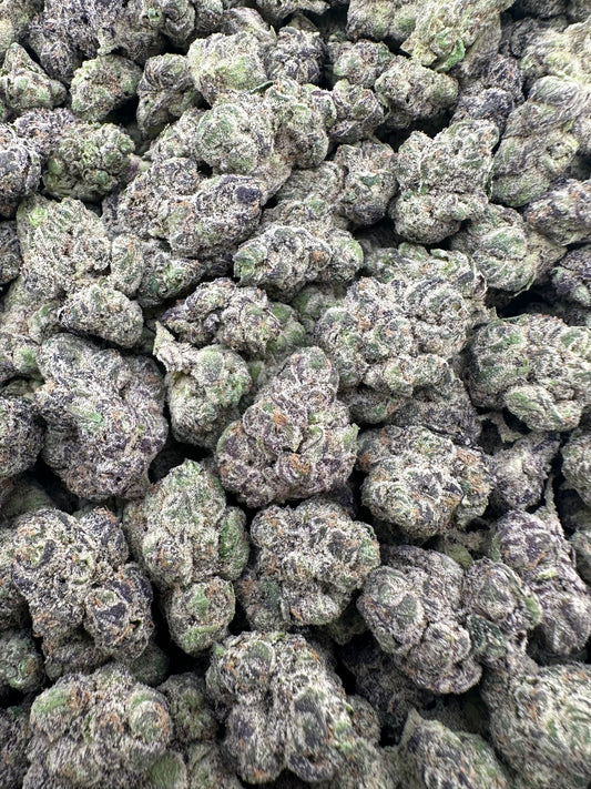 THC-A FLOWER APPLE FRITTER - HYBRID (INDOOR)
