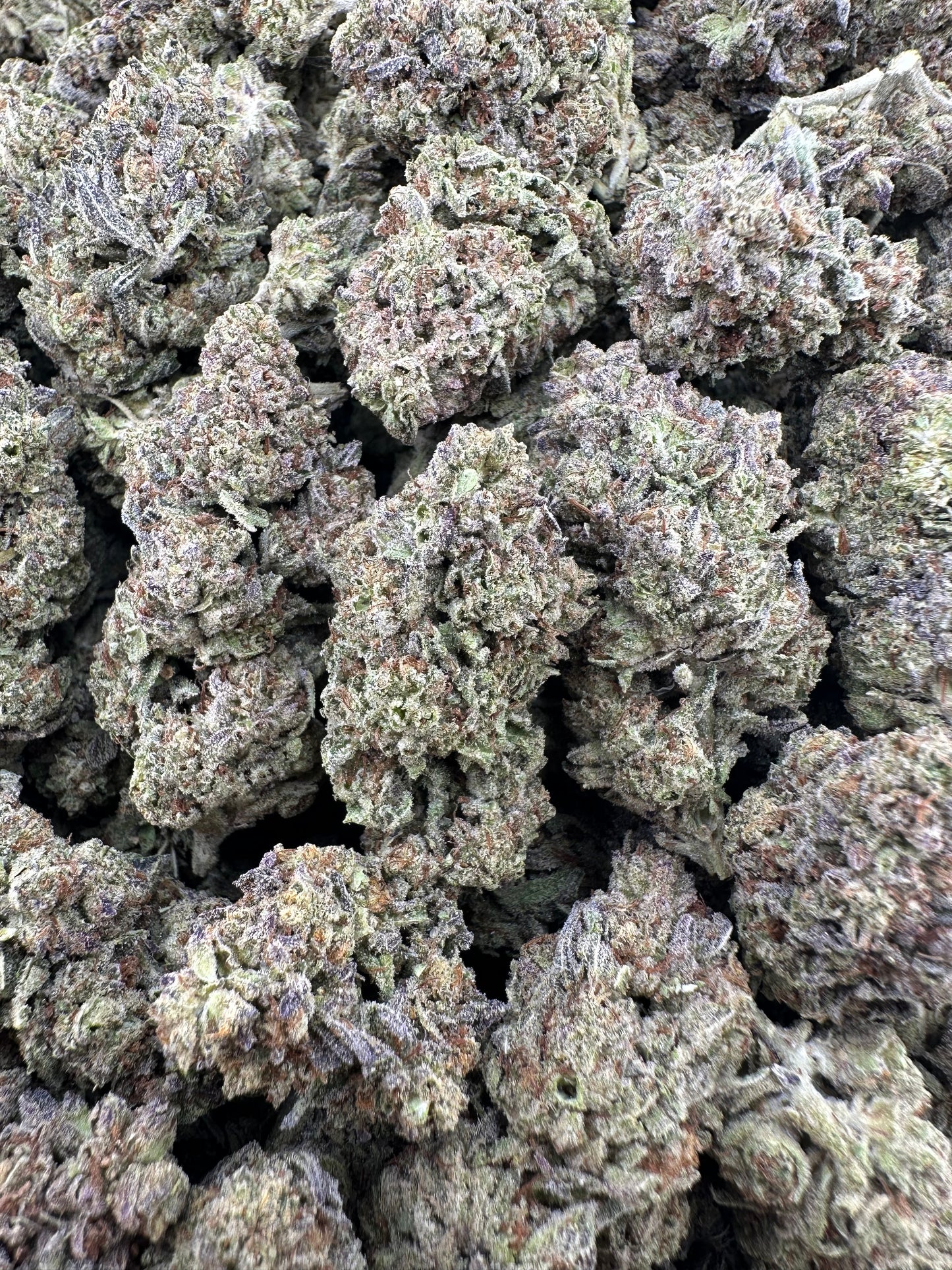 THC-A FLOWER BLACK WIDOW - HYBRID (LIGHT DEP)