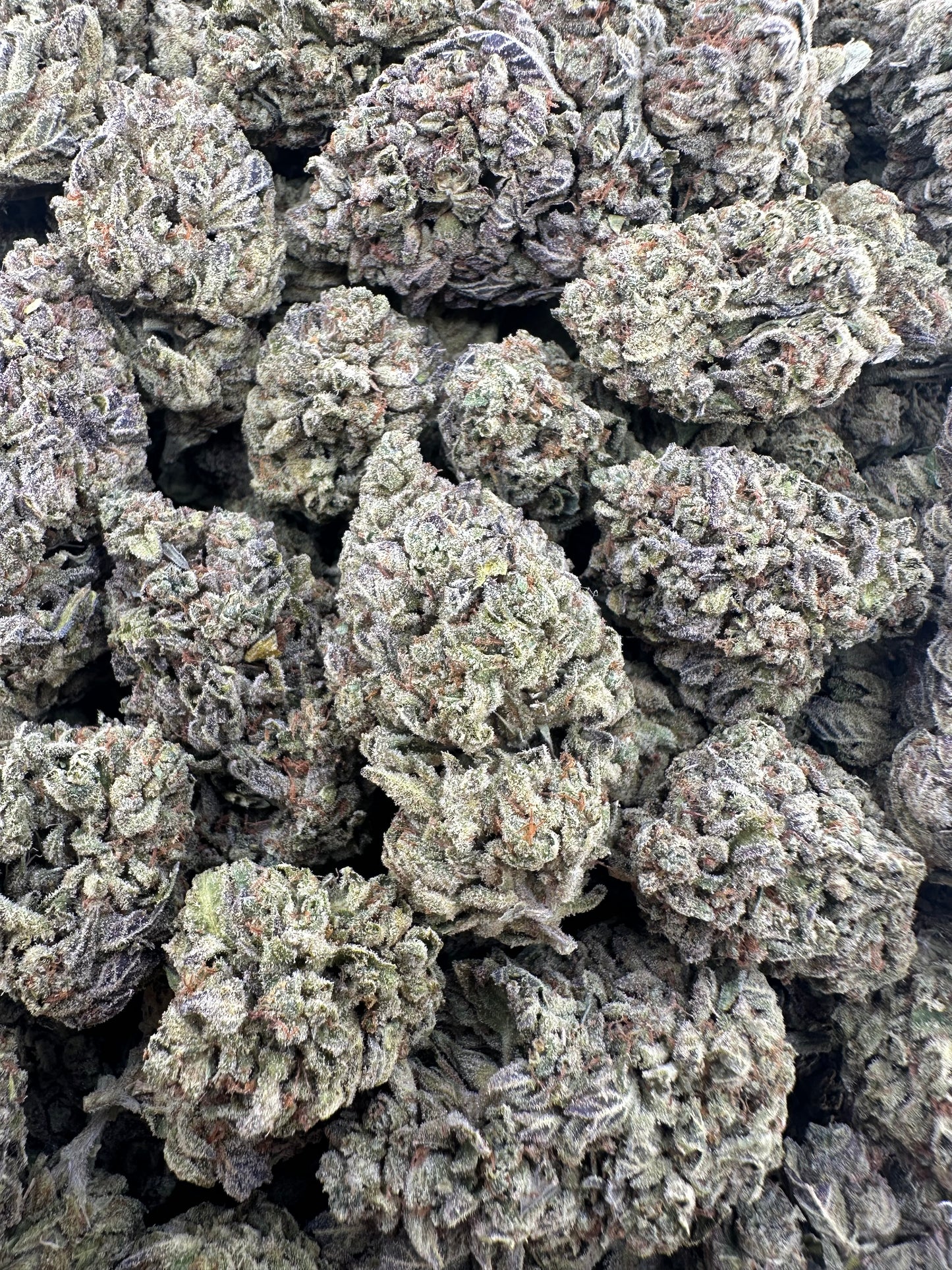 THC-A FLOWER WHITE GUSHERZ - SATIVA (LIGHT DEP)