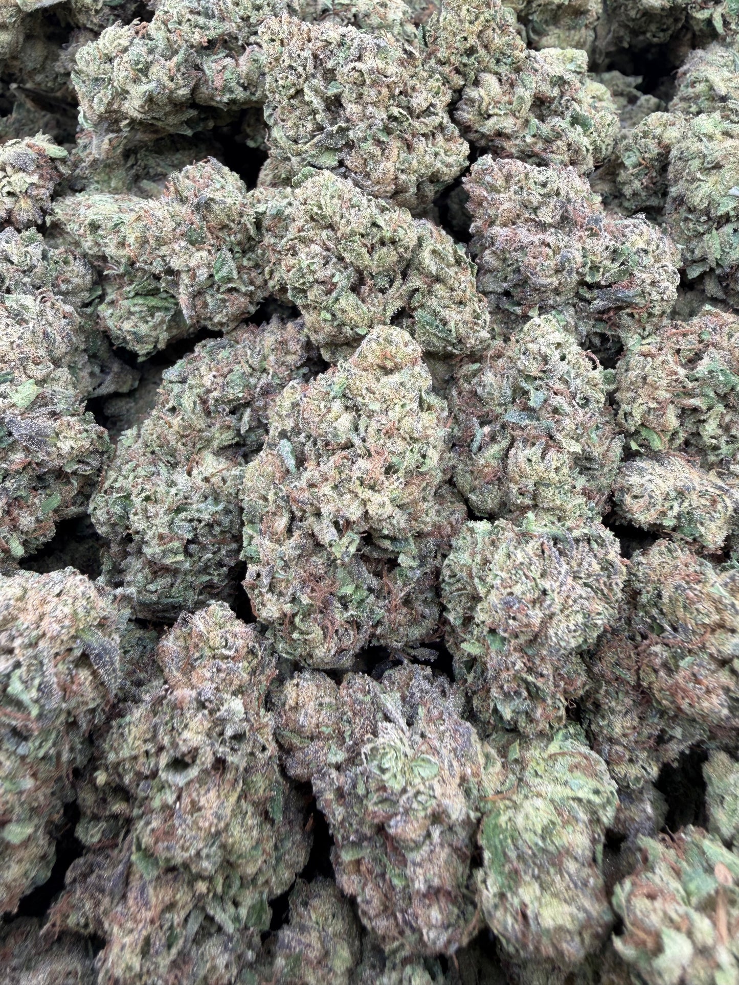 THC-A FLOWER SUPER RUNTZ - HYBRID (LIGHT DEP)