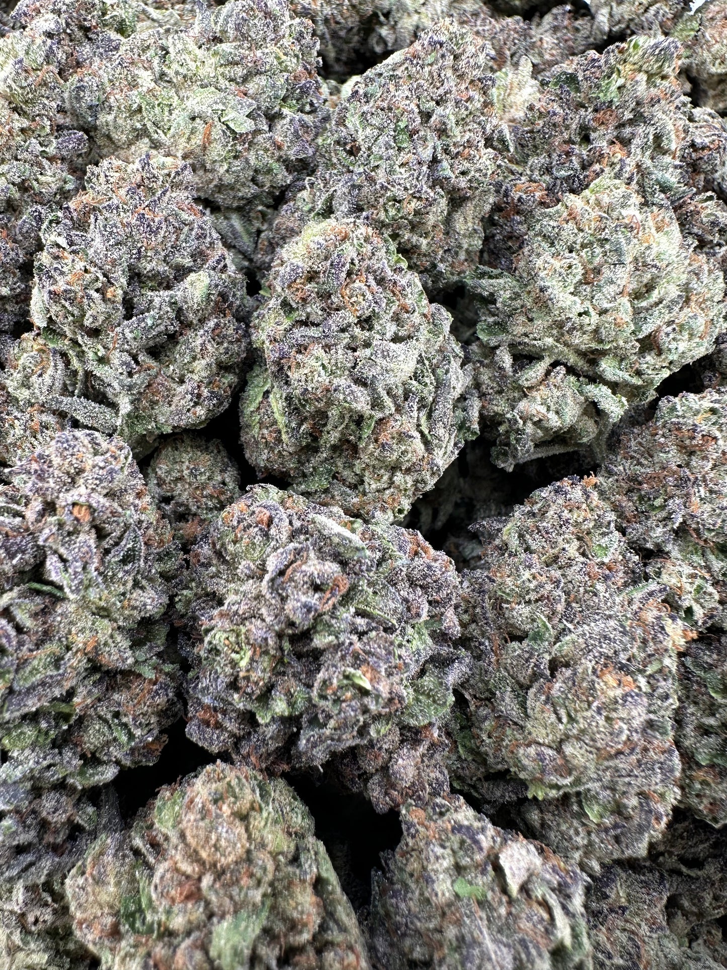 THC-A FLOWER RASPBERRY ICEE - HYBRID (LIGHT DEP)