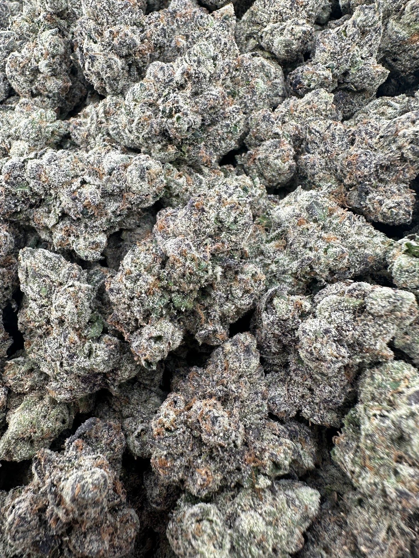 THC-A FLOWER LEMON CHERRY GELATO - HYBRID (INDOOR)