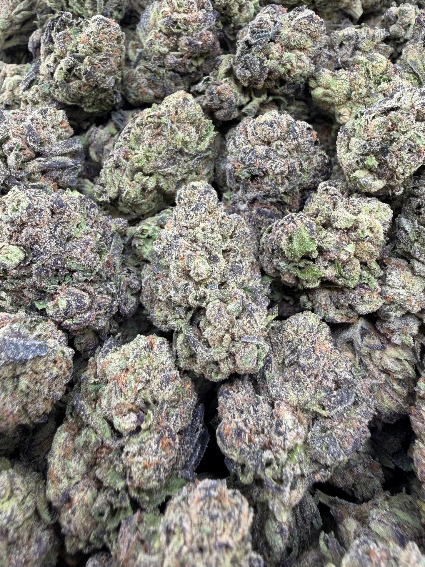 THC-A FLOWER TROPICAL RUNTZ - HYBRID (LIGHT DEP)