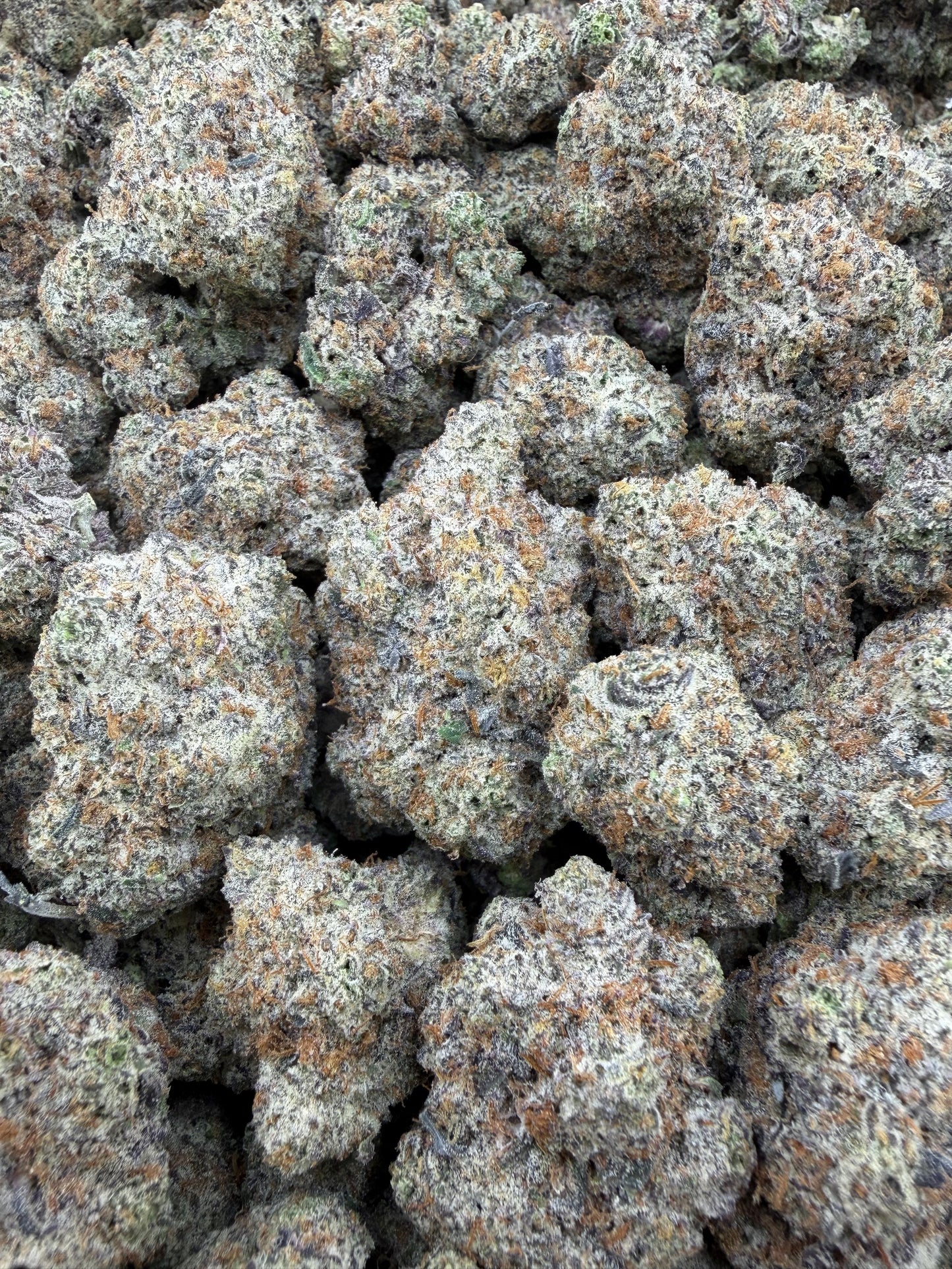 THC-A FLOWER TRUFFLEZ - HYBRID (INDOOR)
