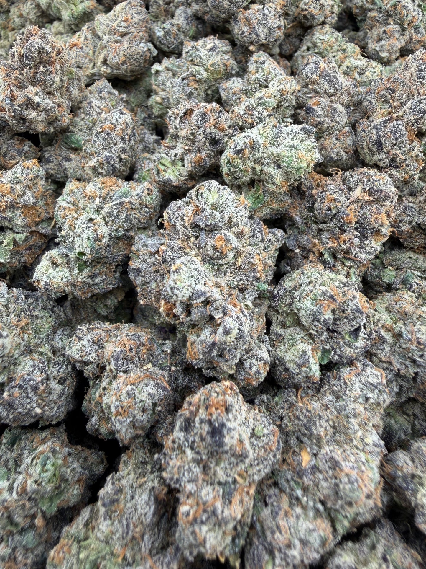 THC-A FLOWER RUNTZ - INDICA (INDOOR)