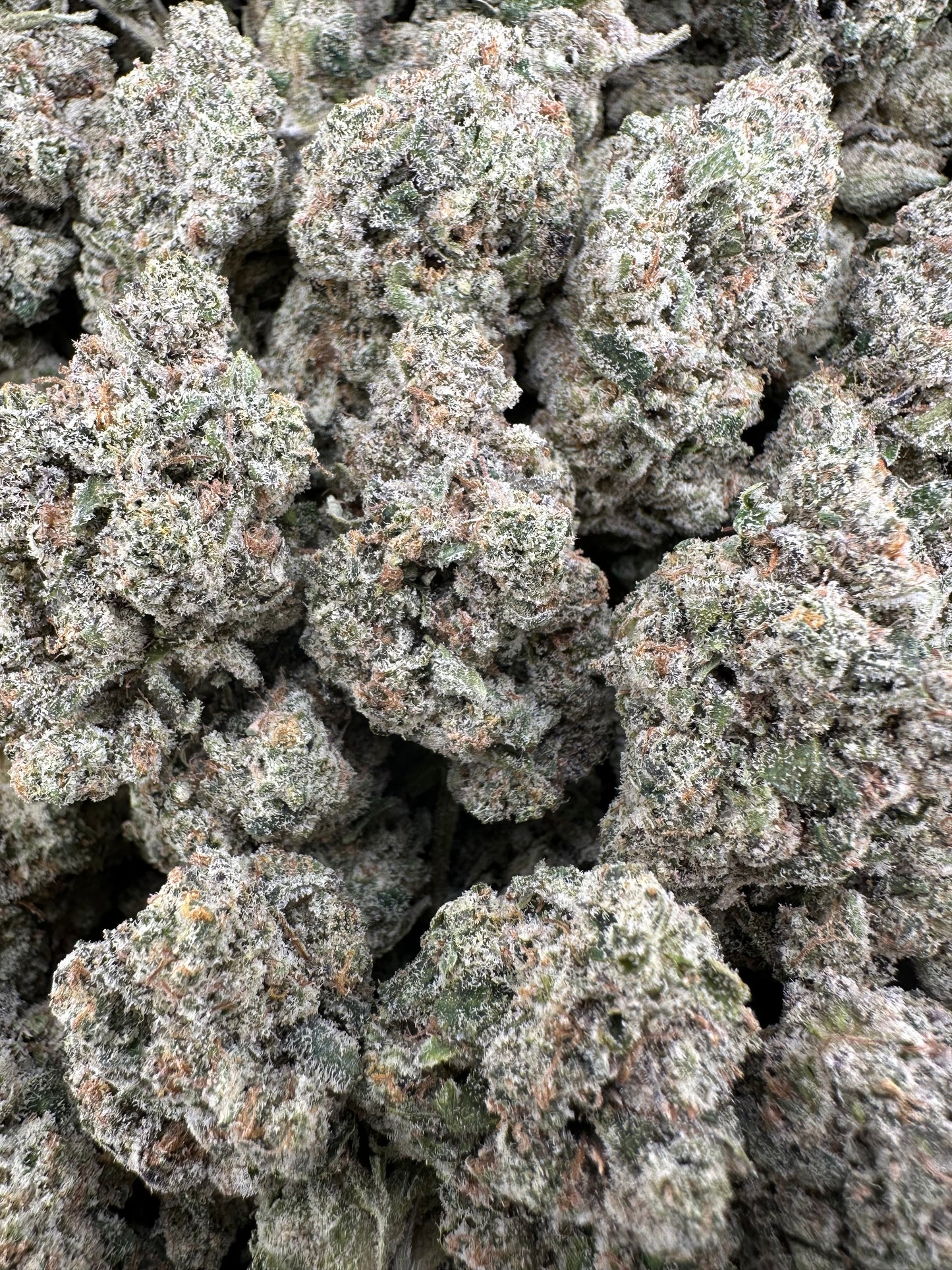 THC-A FLOWER MILK & COOKIES - HYBRID (INDOOR)