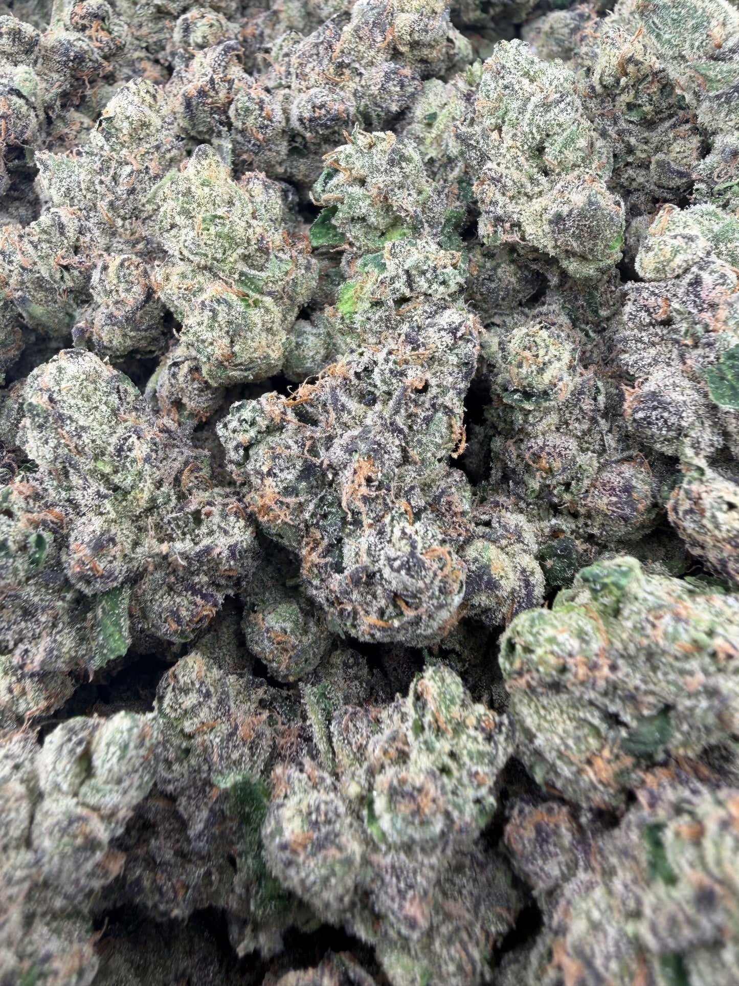 THC-A FLOWER GUMBO - INDICA (INDOOR)