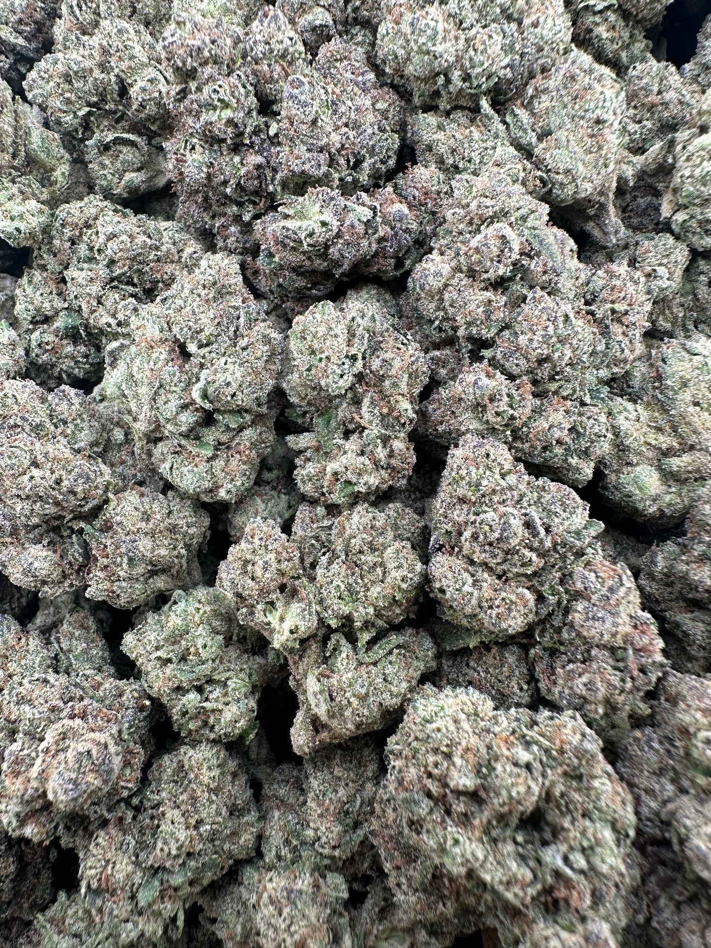 THC-A FLOWER MIDNIGHT CRASHER - HYBRID (LIGHT DEP)