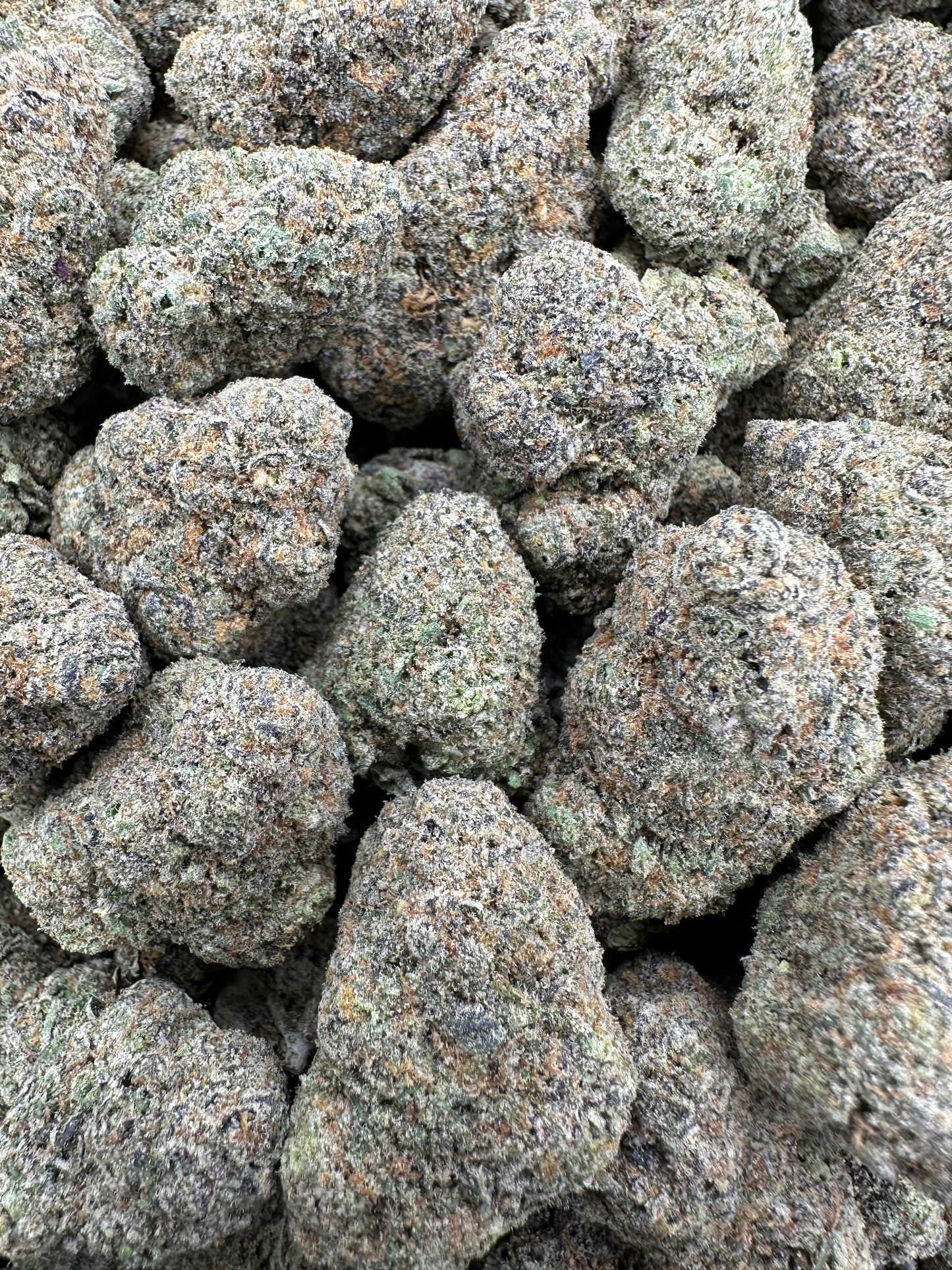 THC-A FLOWER MILK & COOKIES - HYBRID (INDOOR)