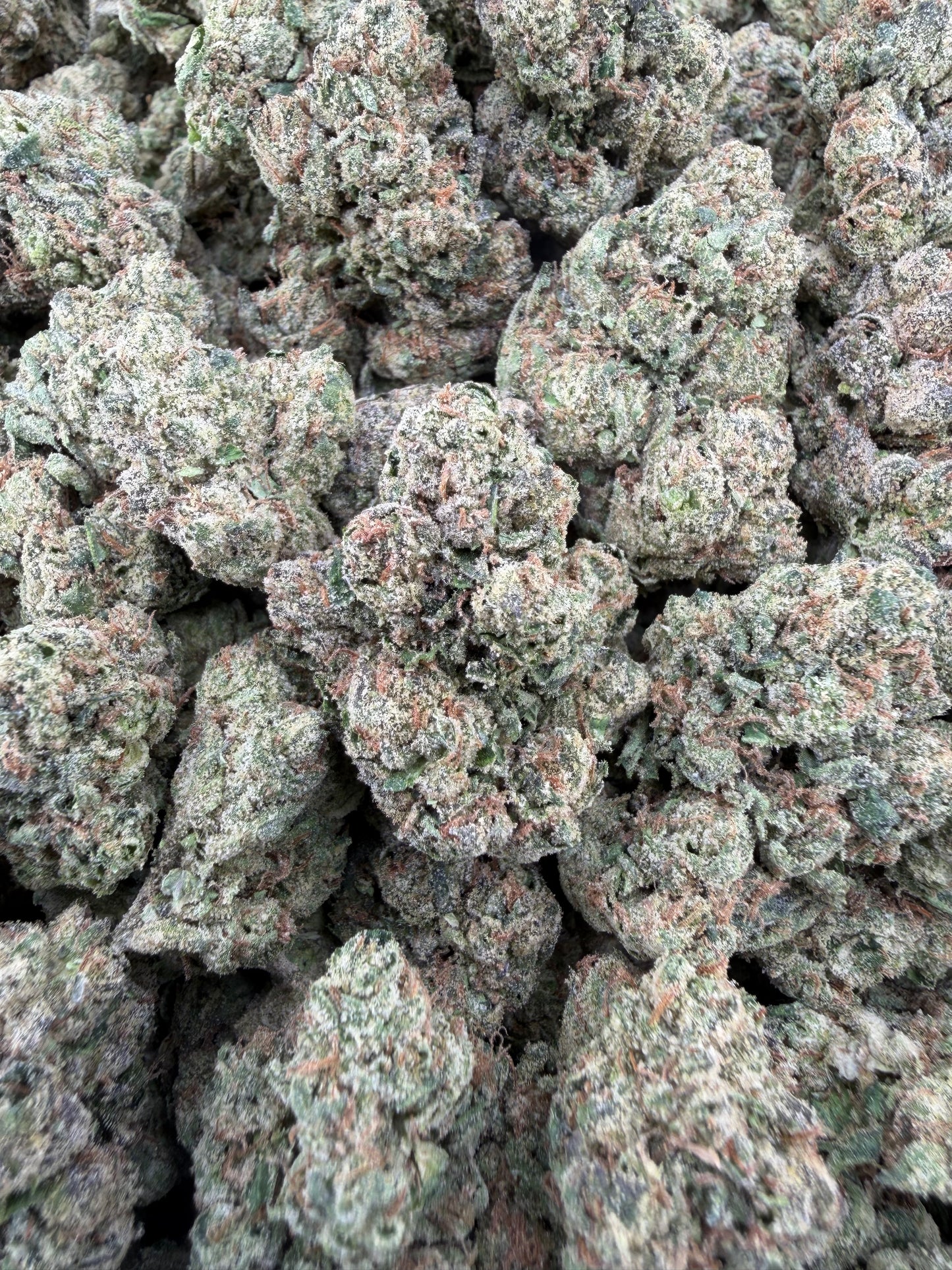 THC-A FLOWER MIDNIGHT CRASHER - HYBRID (LIGHT DEP)