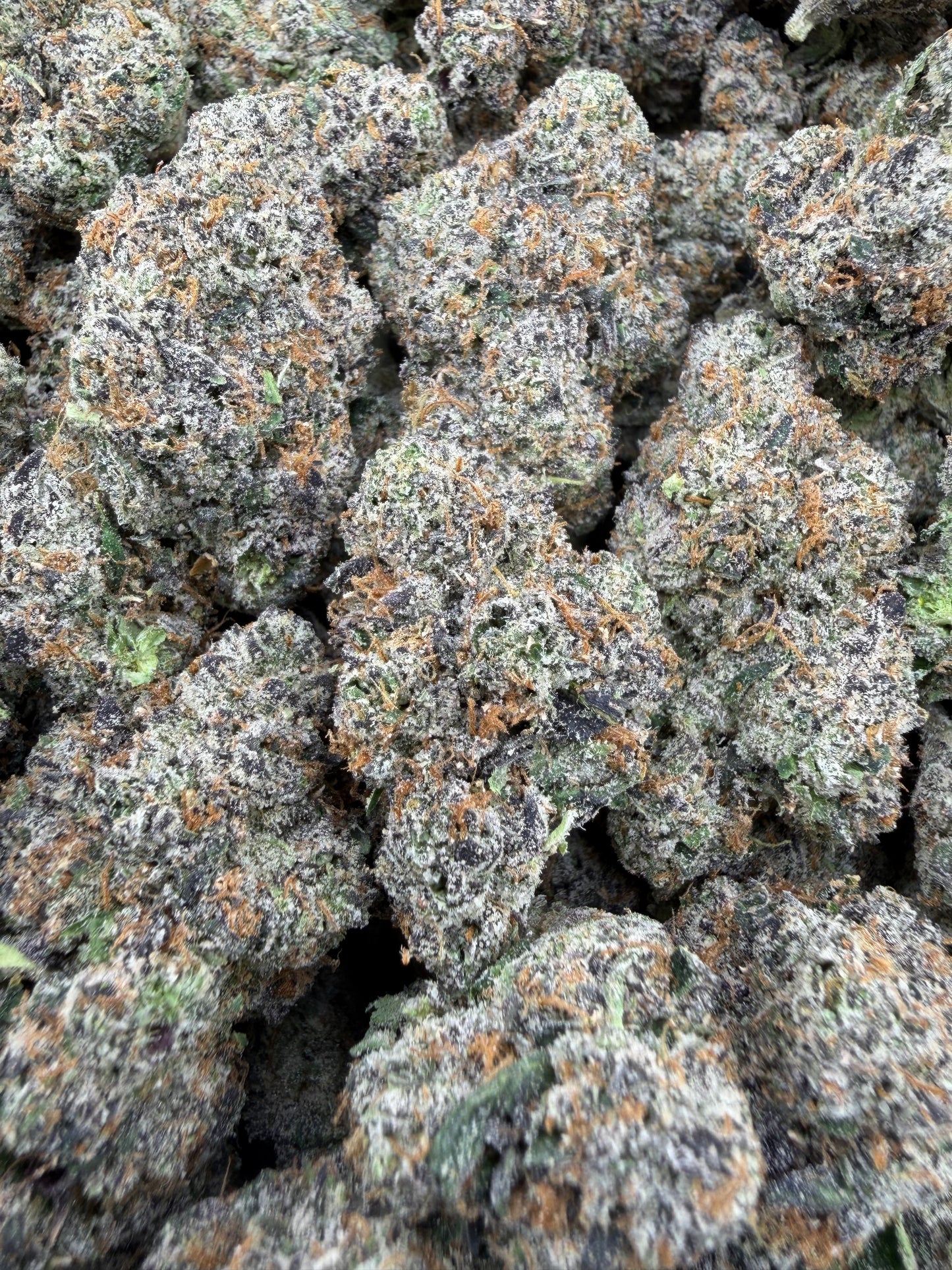 THC-A FLOWER PERMANENT MARKER - INDICA (INDOOR)