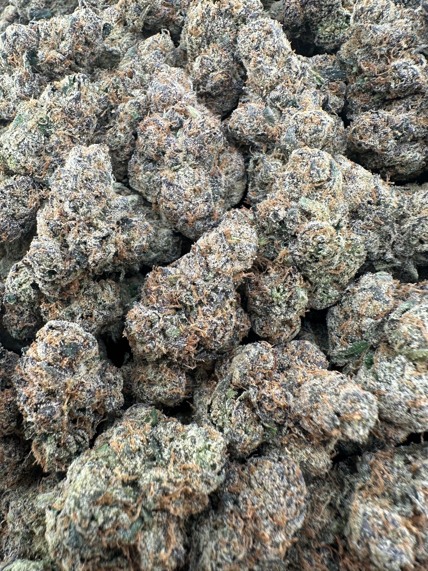 THC-A FLOWER APPLE FRITTER - HYBRID (INDOOR)