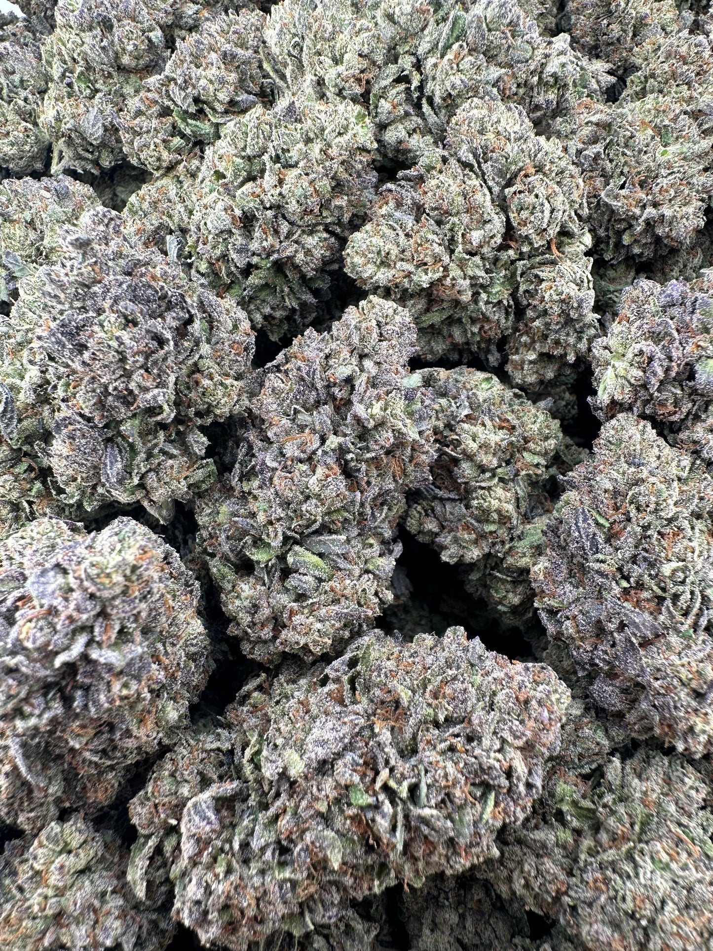 THC-A FLOWER KUSH MINTZ - INDICA (LIGHT DEP)