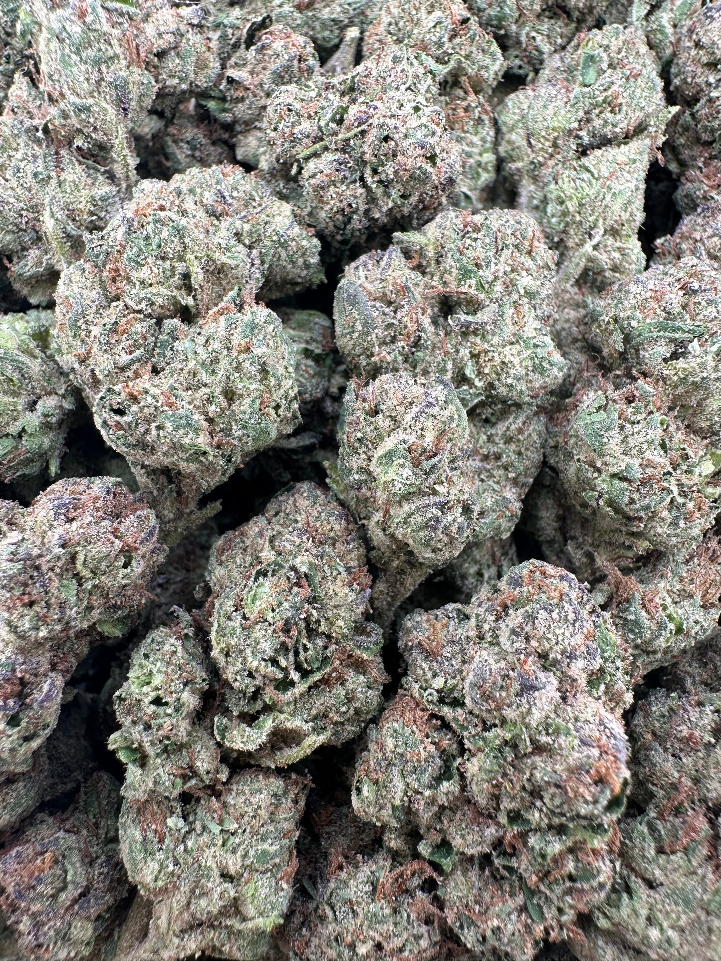 THC-A FLOWER CANDY CERTZ - HYBRID (LIGHT DEP)