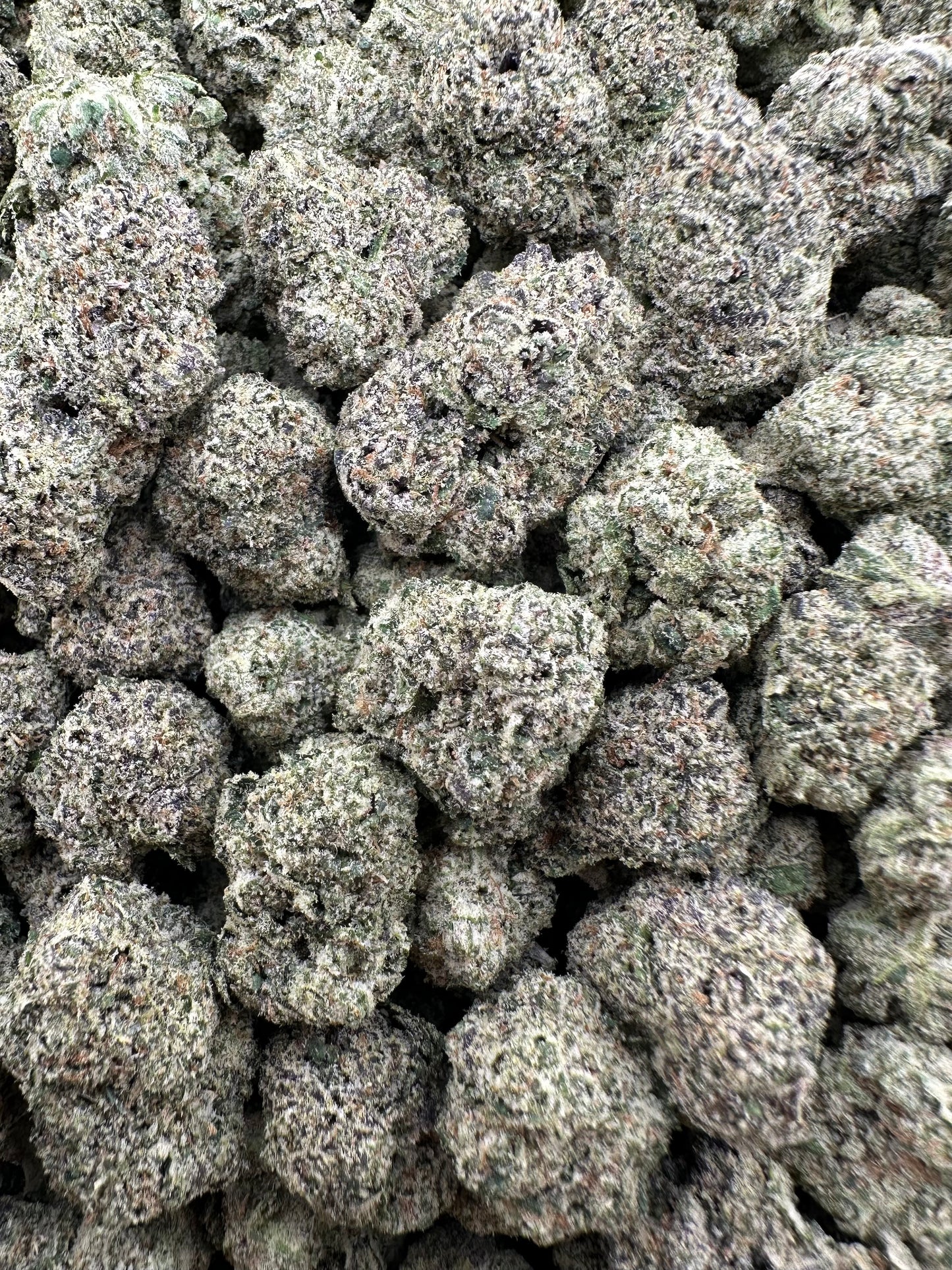 THC-A FLOWER WATERMELON SHERBERT - HYBRID