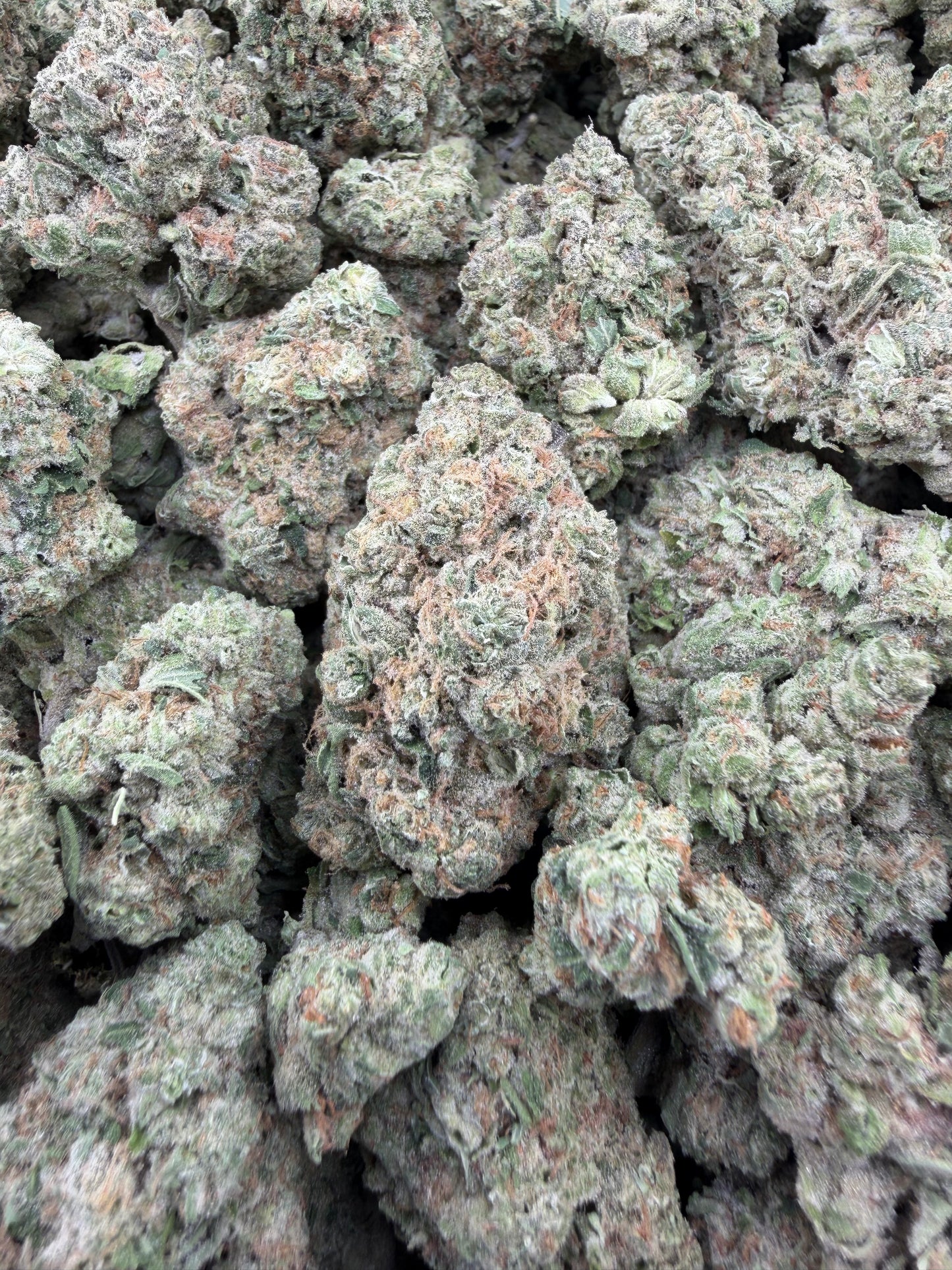 THC-A FLOWER LEMON HAZE - SATIVA (LIGHT DEP)