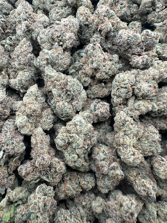 THC-A FLOWER ORANGE JULIUS - SATIVA (INDOOR)