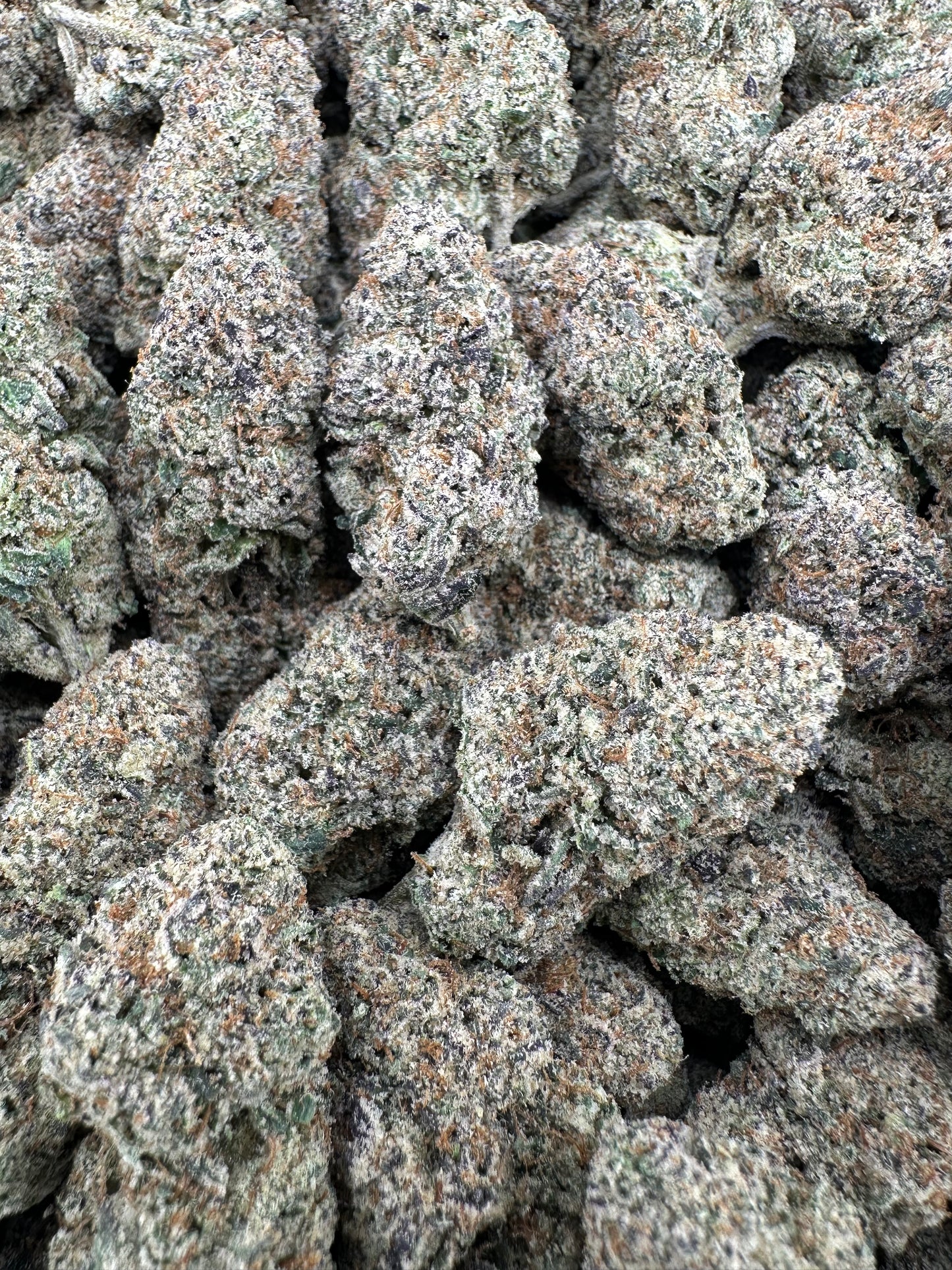 THC-A FLOWER SUNSET SHERB - HYBRID (INDOOR)