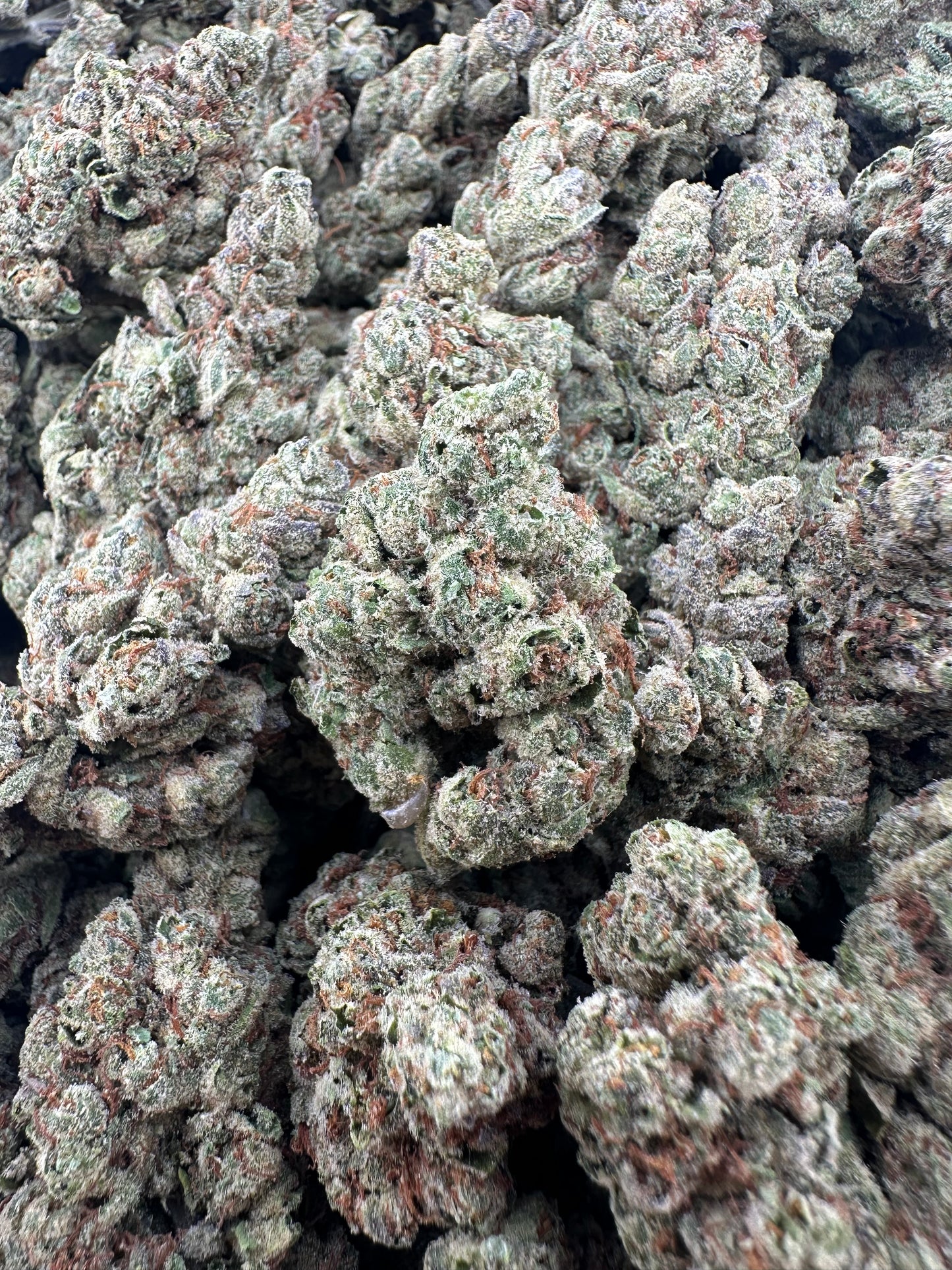 THC-A FLOWER LEMON HAZE - SATIVA (LIGHT DEP)