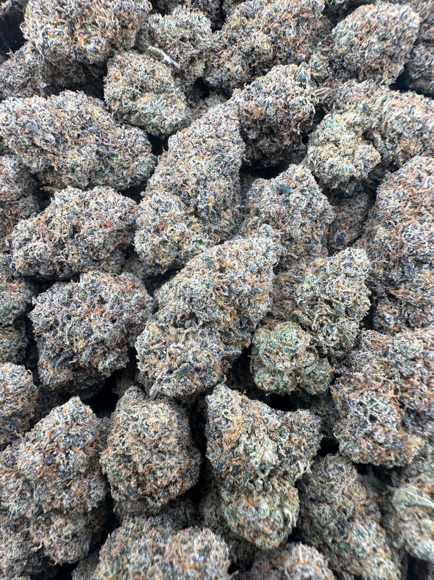 THC-A FLOWER BLACK WIDOW - HYBRID (INDOOR)