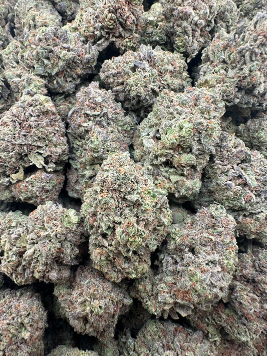 THC-A FLOWER WHITE GUSHERZ - SATIVA (LIGHT DEP)