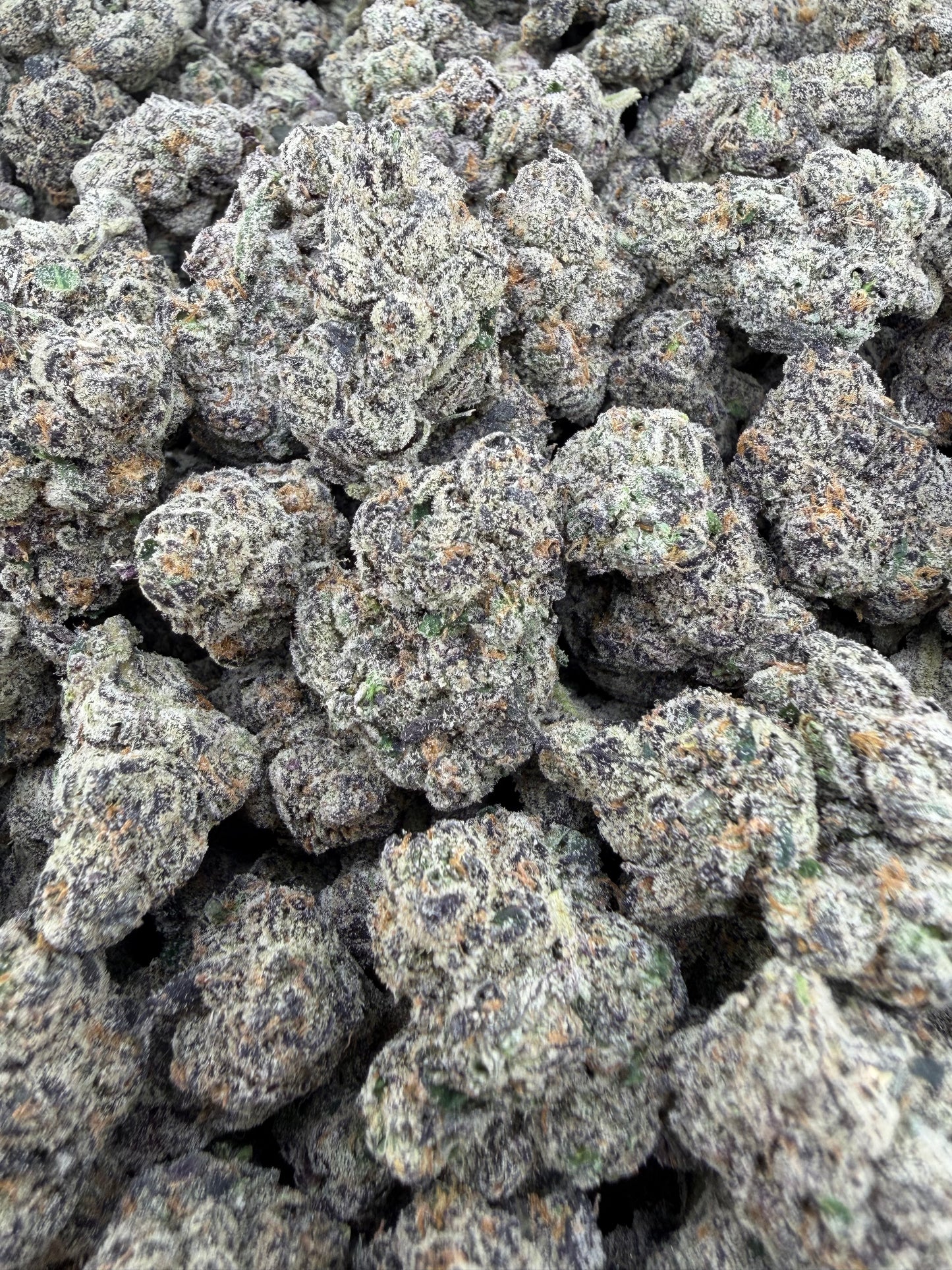 THC-A FLOWER BLUE SLUSHIE - INDICA (INDOOR)
