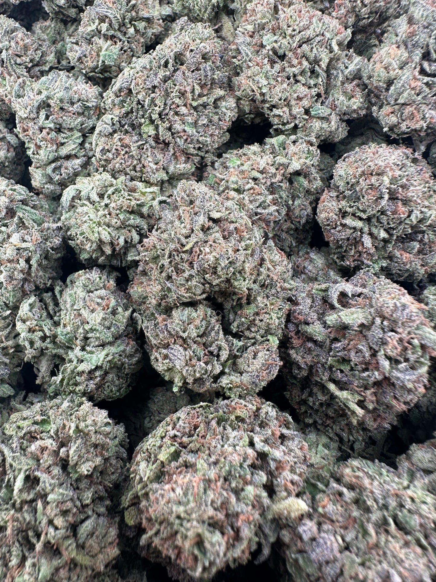 THC-A FLOWER SUPER RUNTZ - HYBRID (LIGHT DEP)