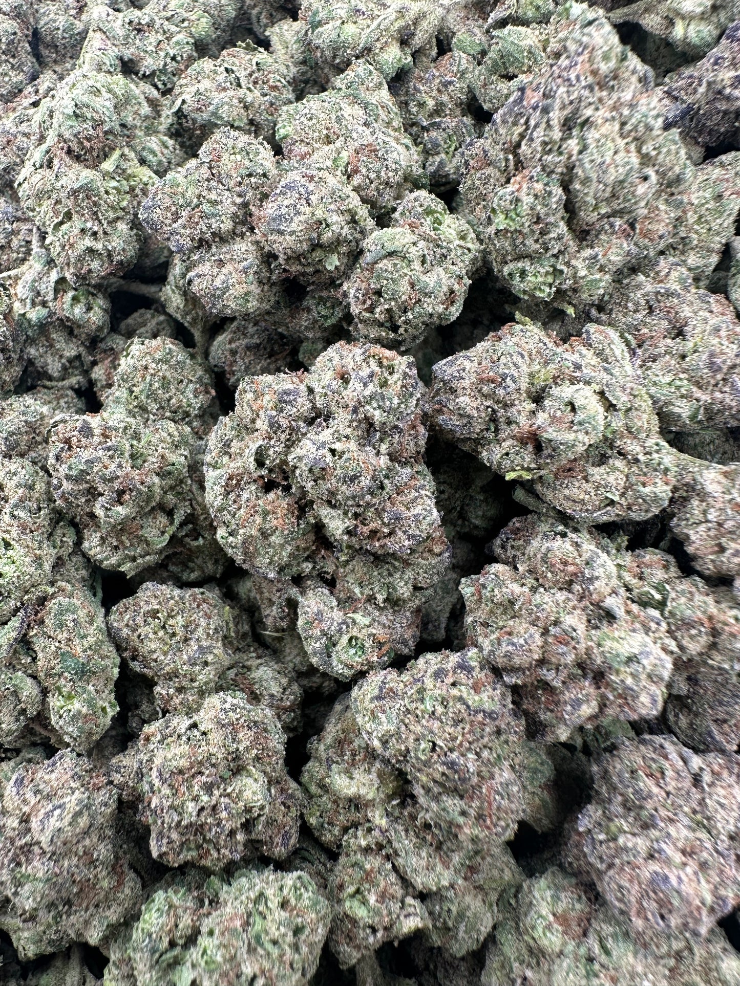 THC-A FLOWER TROPICAL RUNTZ - HYBRID (LIGHT DEP)