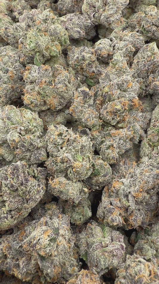 THC-A FLOWER GELATTI - INDICA (INDOOR)