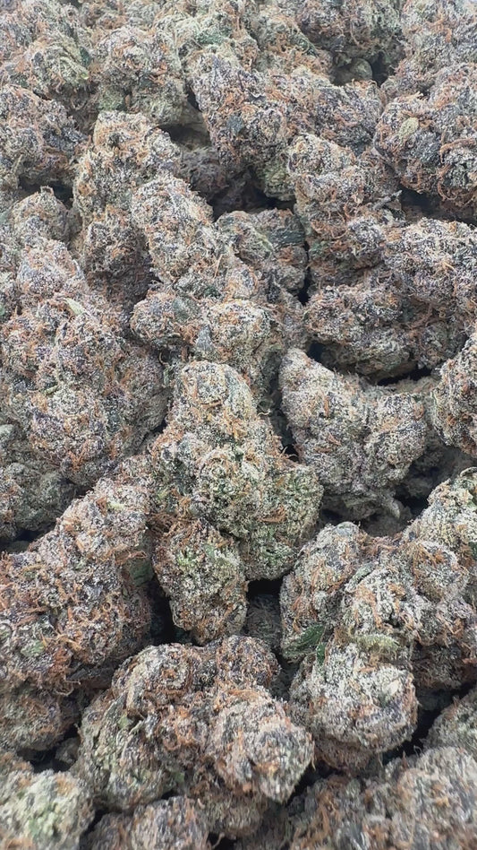 THC-A FLOWER APPLE FRITTER - HYBRID (INDOOR)