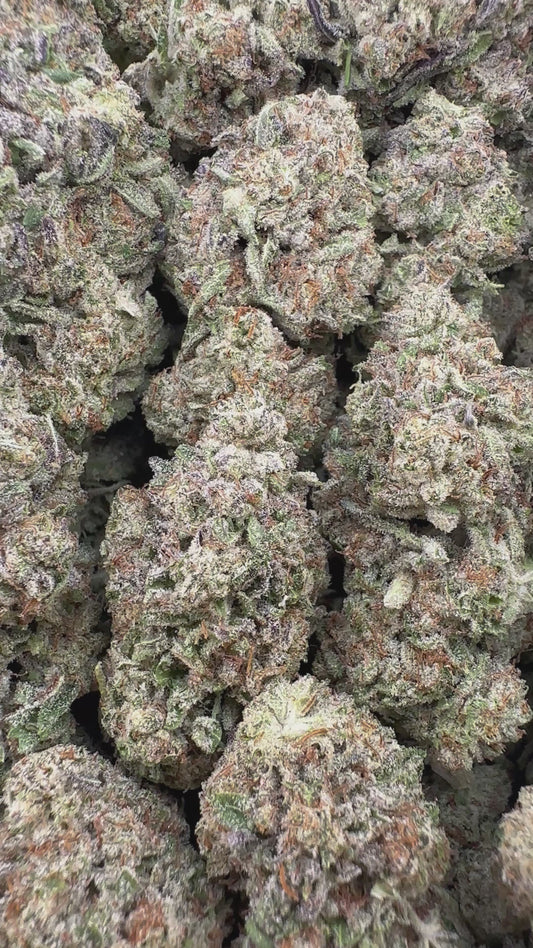 THC-A FLOWER TRUFFLEZ - HYBRID (LIGHT DEP)