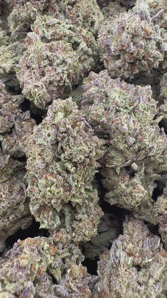 THC-A FLOWER BLACK WIDOW - HYBRID (LIGHT DEP)