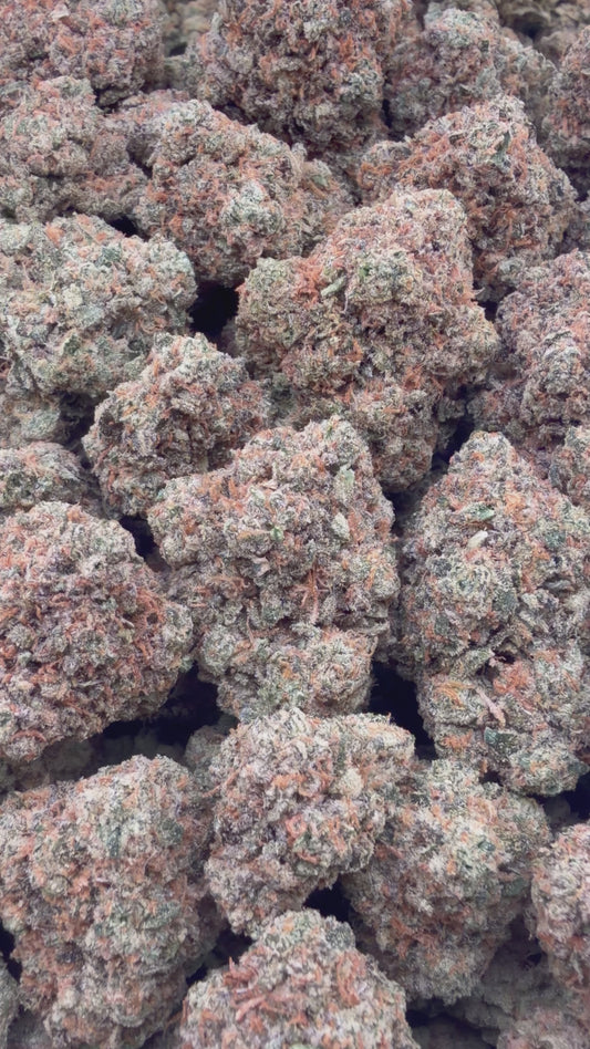 THC-A FLOWER APPLE FRITTER - HYBRID (INDOOR)