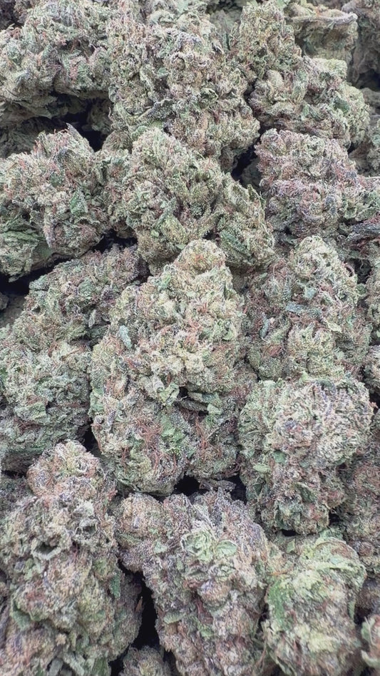 THC-A FLOWER SUPER RUNTZ - HYBRID (LIGHT DEP)