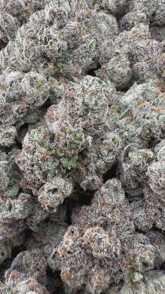THC-A FLOWER LEMON CHERRY GELATO - HYBRID (INDOOR)