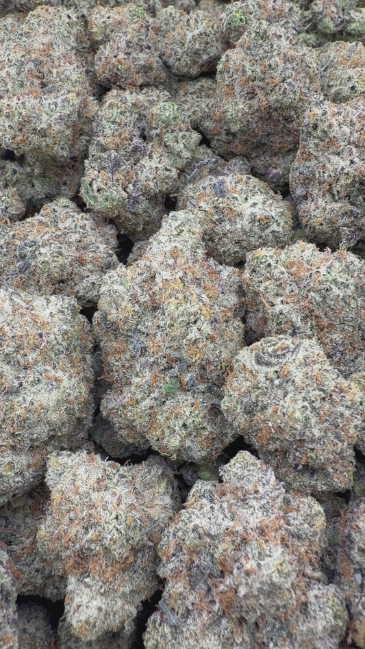 THC-A FLOWER TRUFFLEZ - HYBRID (INDOOR)